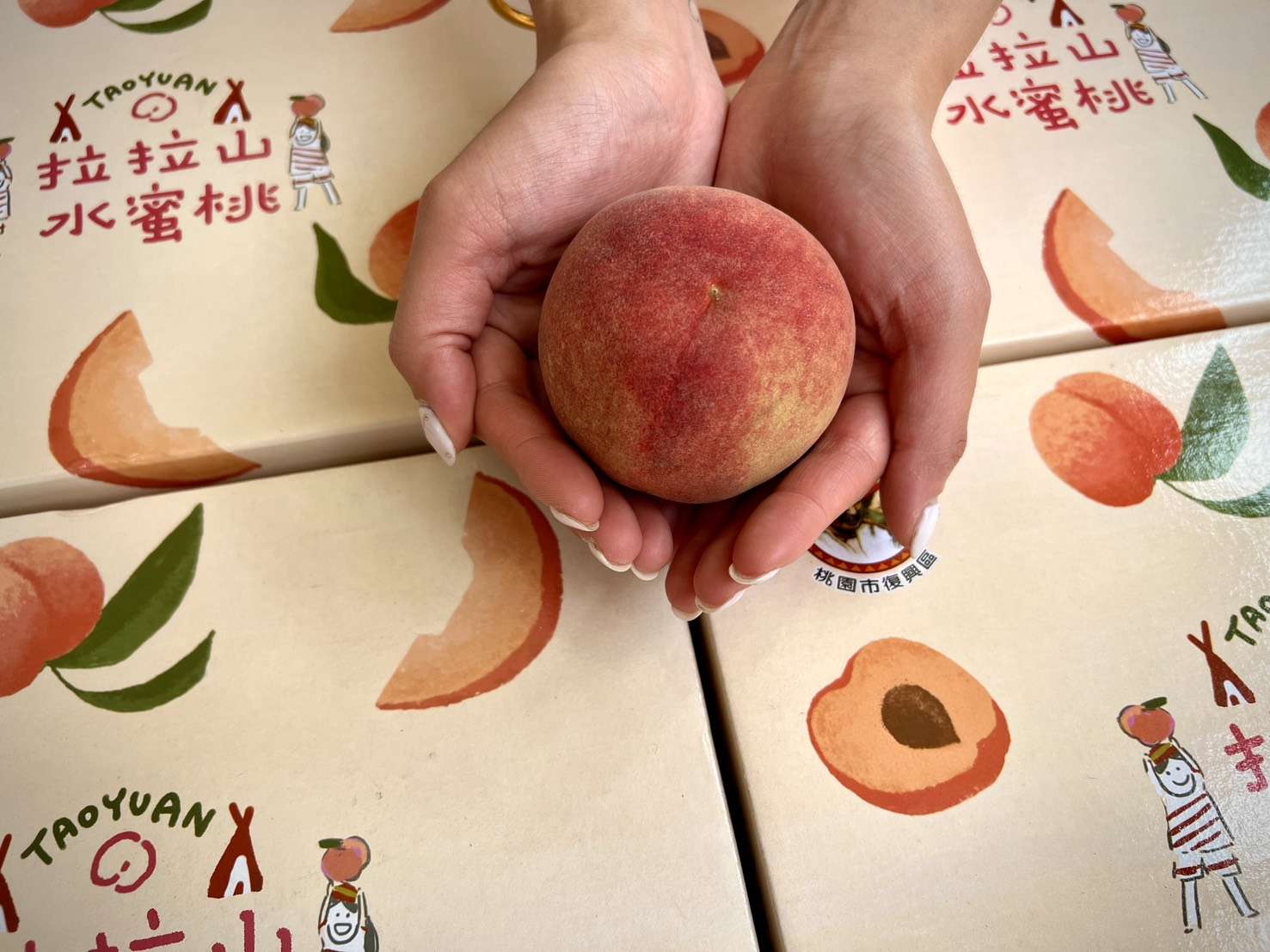 5月搶鮮！復興區媽媽桃啟動預購 官網下單享免運送家裡