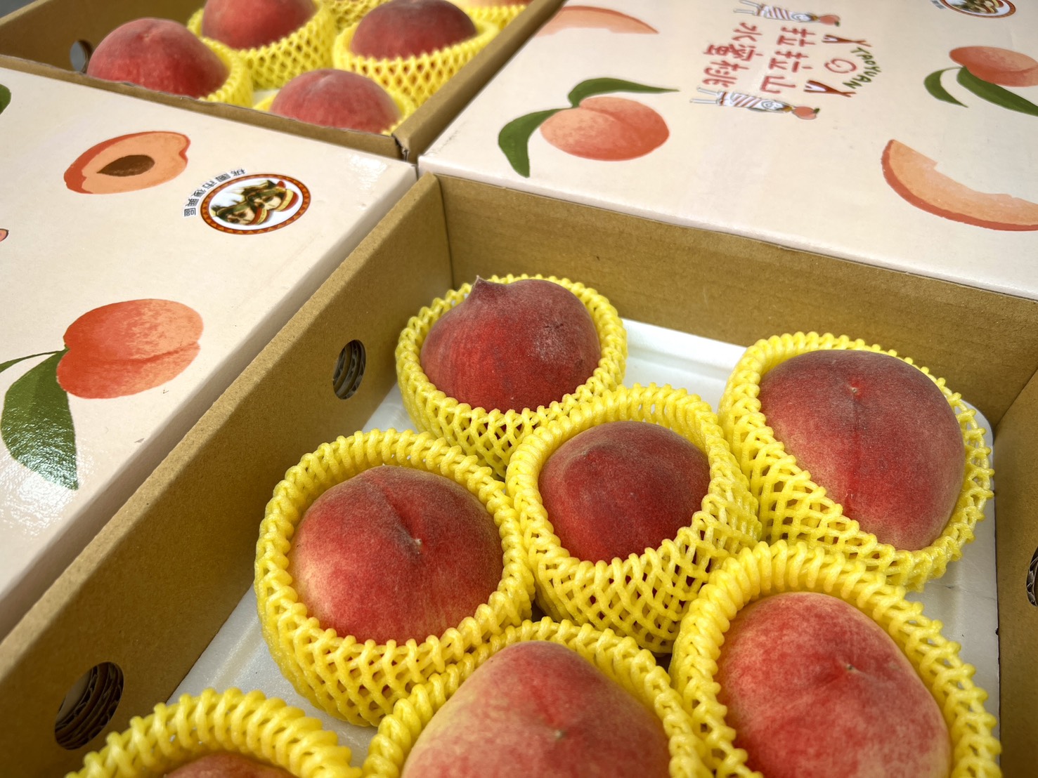 鮮甜首發！桃園拉拉山「媽媽桃」4/13起預購開跑