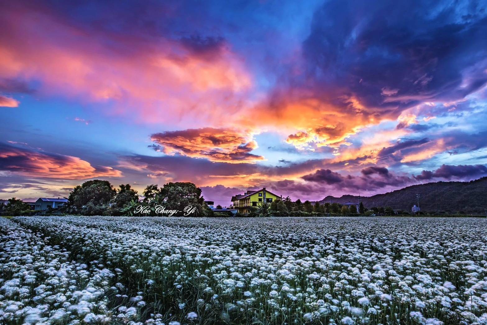 桃園休閒農業區+1 大溪中庄水資源景觀、韭菜產業具觀光發展潛力