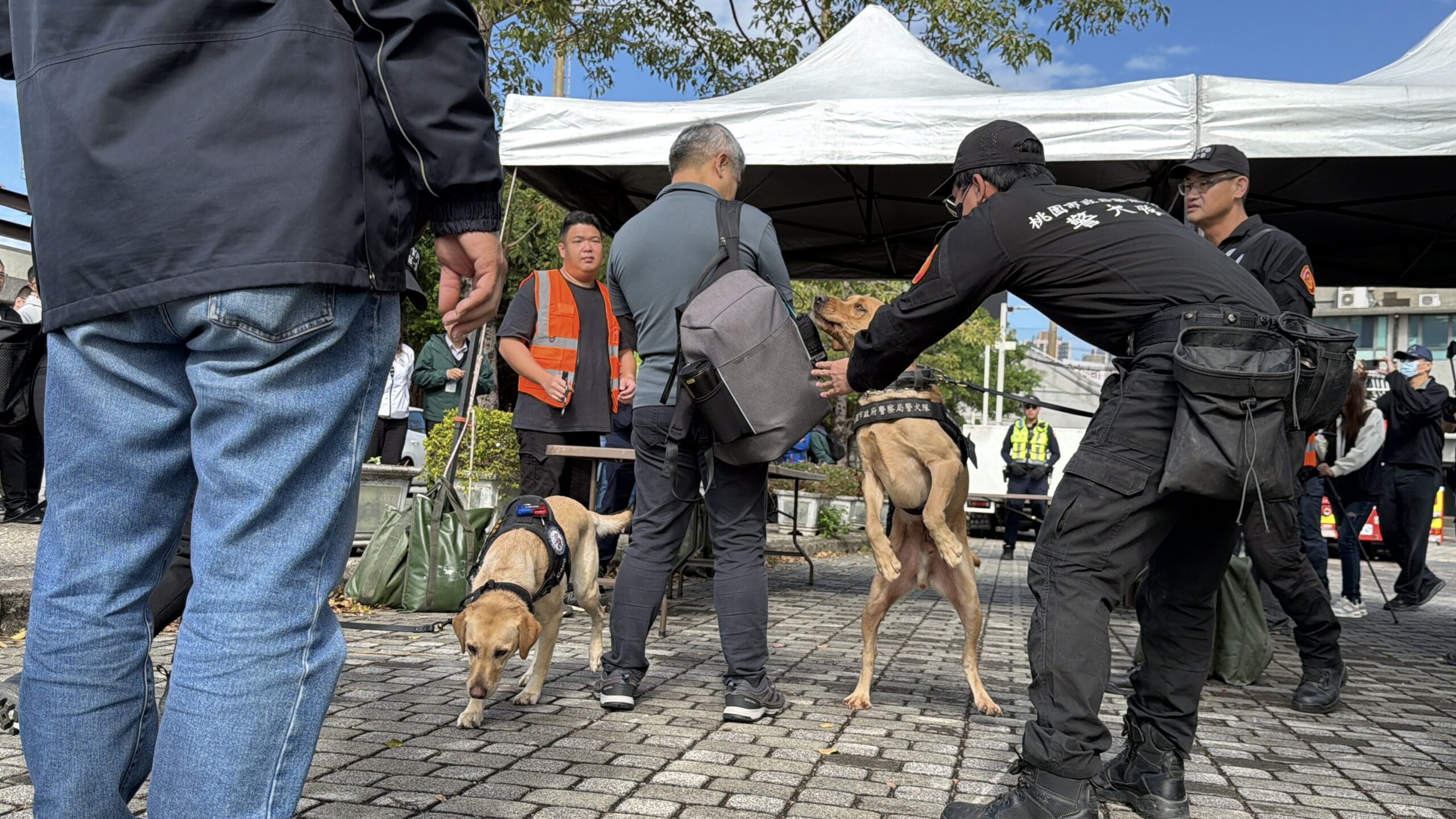 桃園跨年邀人氣女團Apink助陣 市警局曝交通管制懶人包