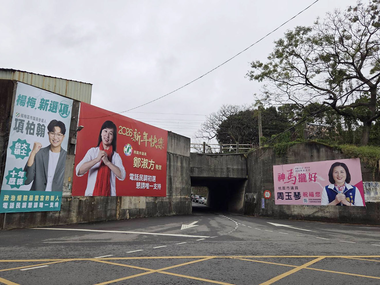 楊梅議員藍綠初選6老將新人拚出線 選舉看板送小物要選民唯一支持