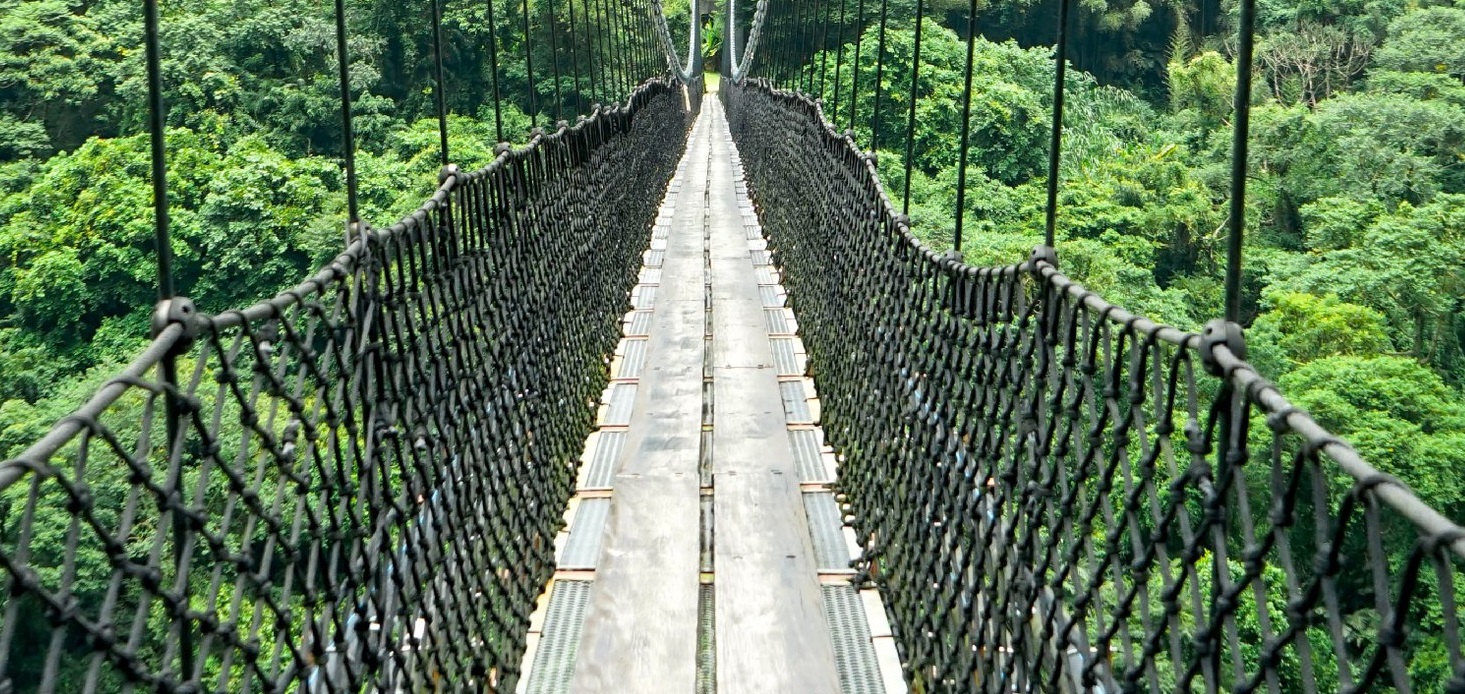 桃園小烏來風景特定區挑戰天空繩橋燃燒熱量 漫步水岸綠廊享受美景