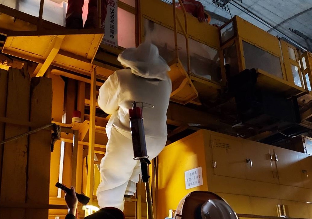 回歸專業！桃園1/1起由委外廠商捕蜂捉蛇 通報請撥1999