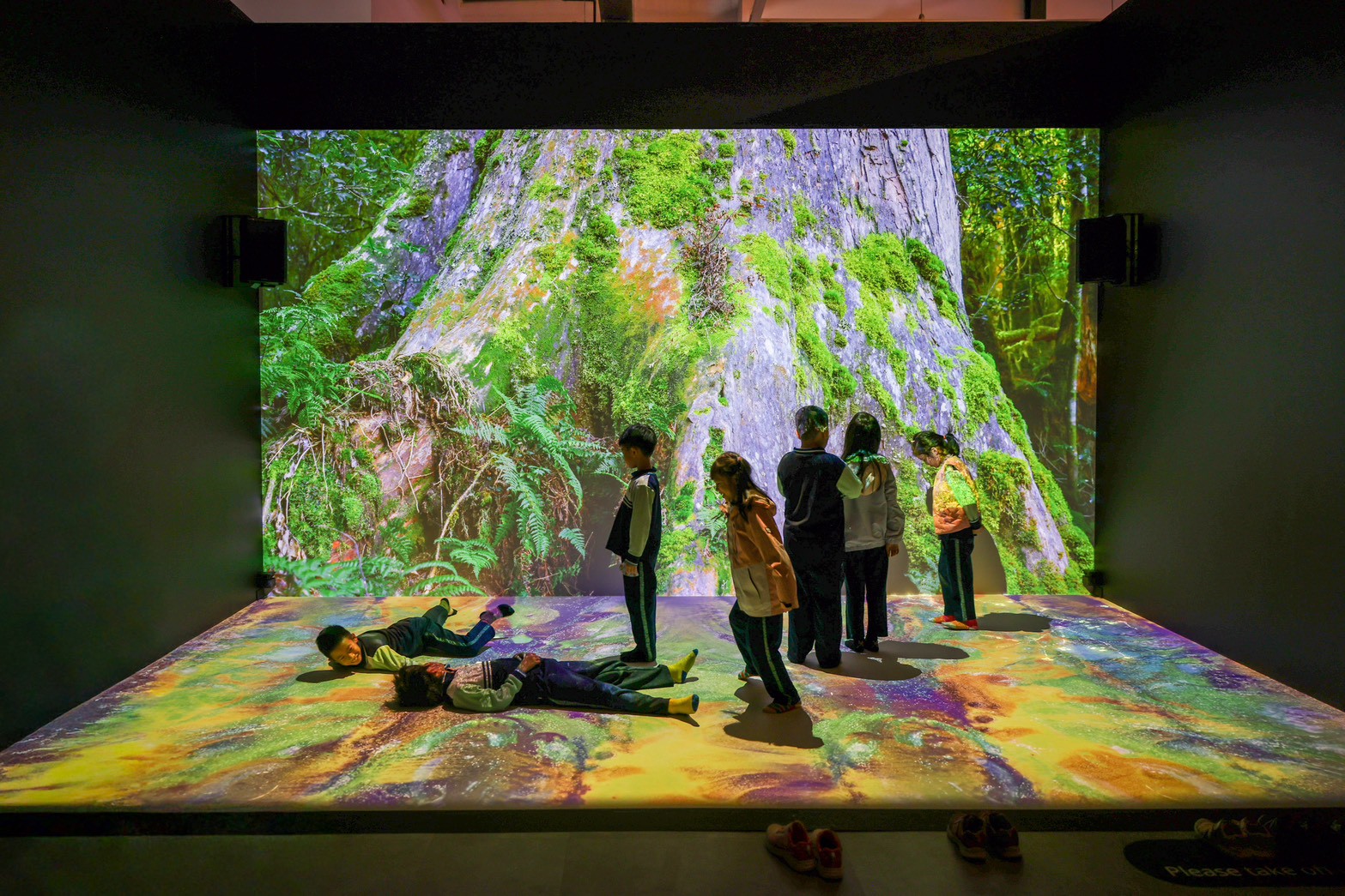 從大自然探索科學知識！仿生特展移師桃園12/26登場