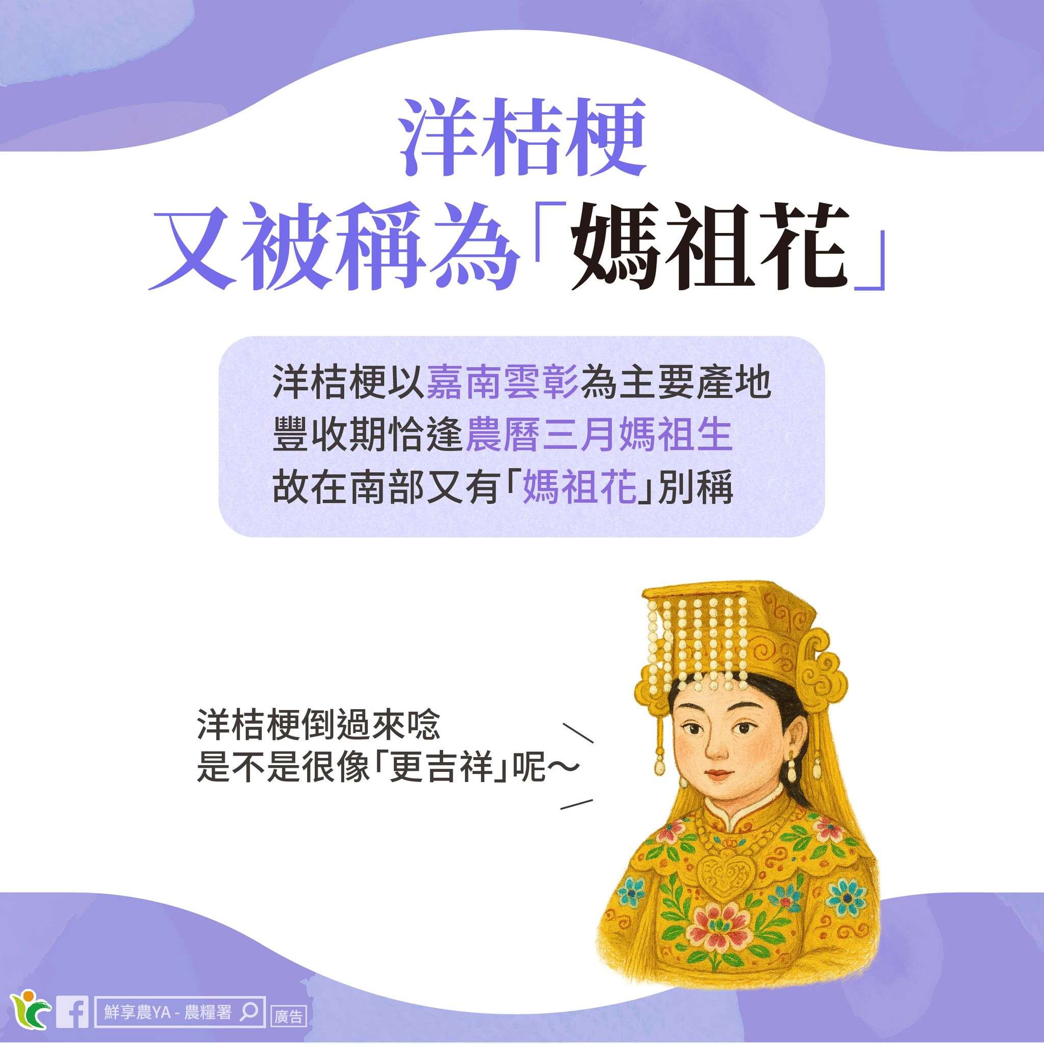 洋桔梗產季登場!解析台灣五大外銷切花產地與美麗秘密 洋桔梗產季登場!解析台灣五大外銷切花產地與美麗秘密