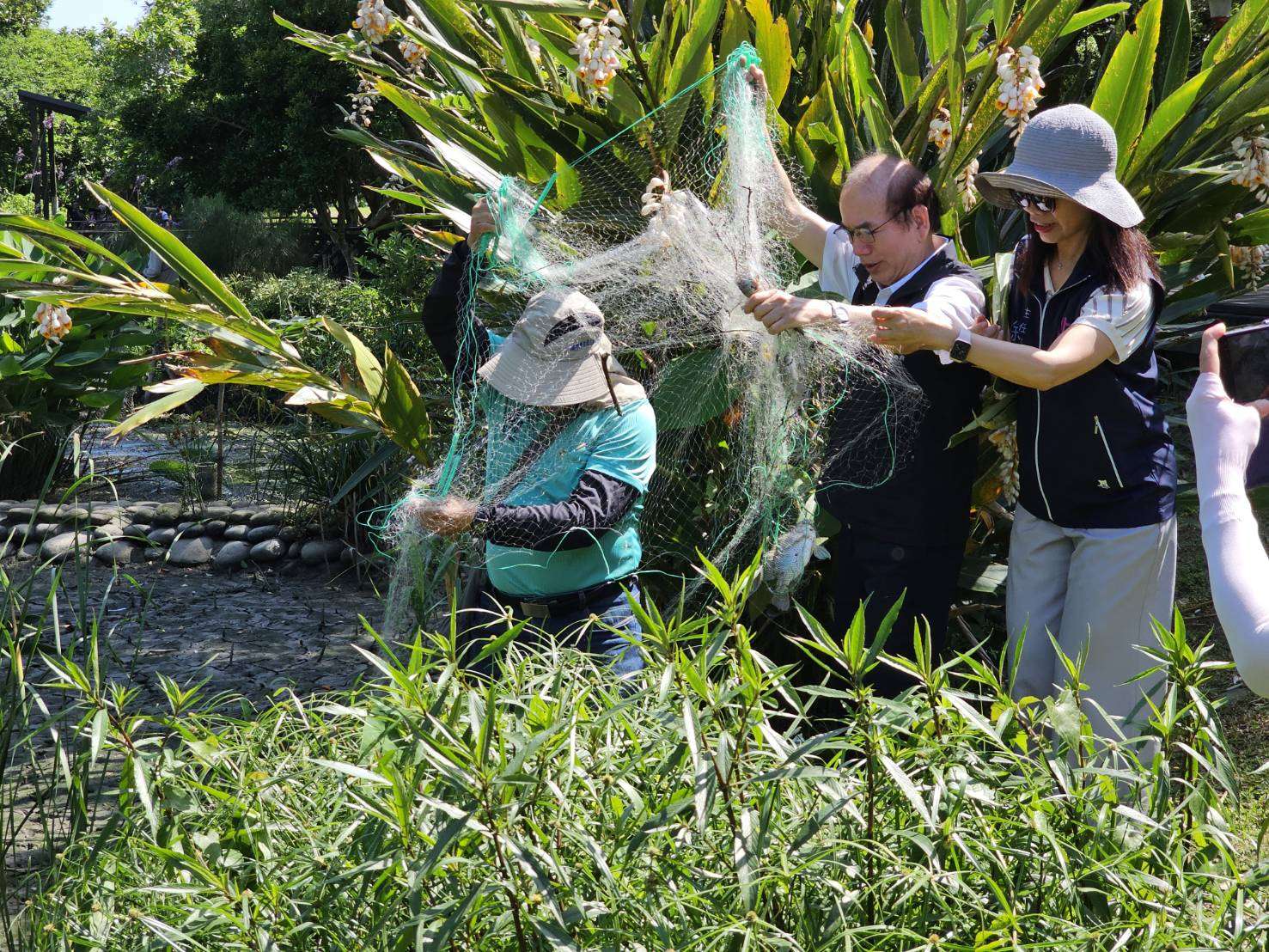 八德埤塘公園公私協力解決優養化 啟動清淤維護原生物種