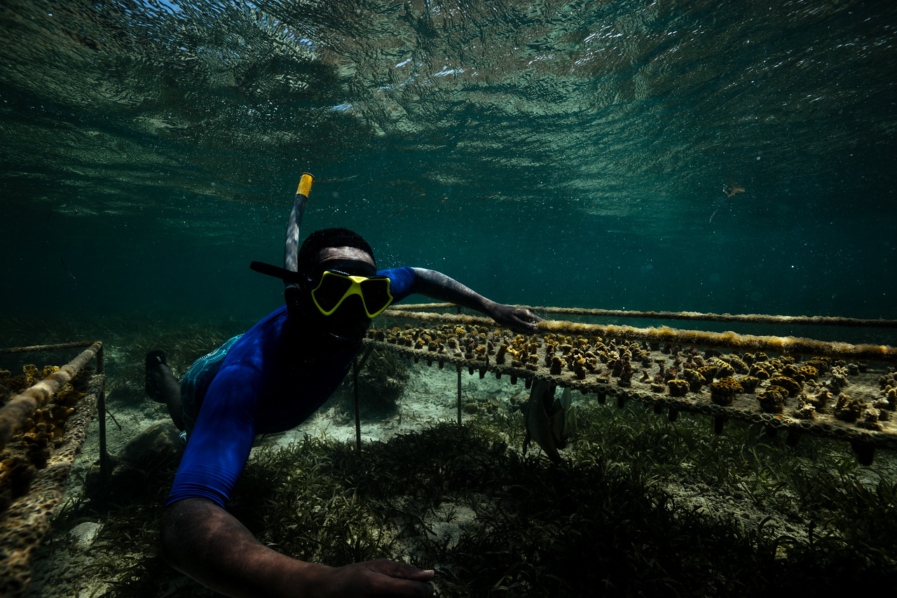 用創意點亮海洋保育的新思路 全球青年創新挑戰徵件至5/31止 