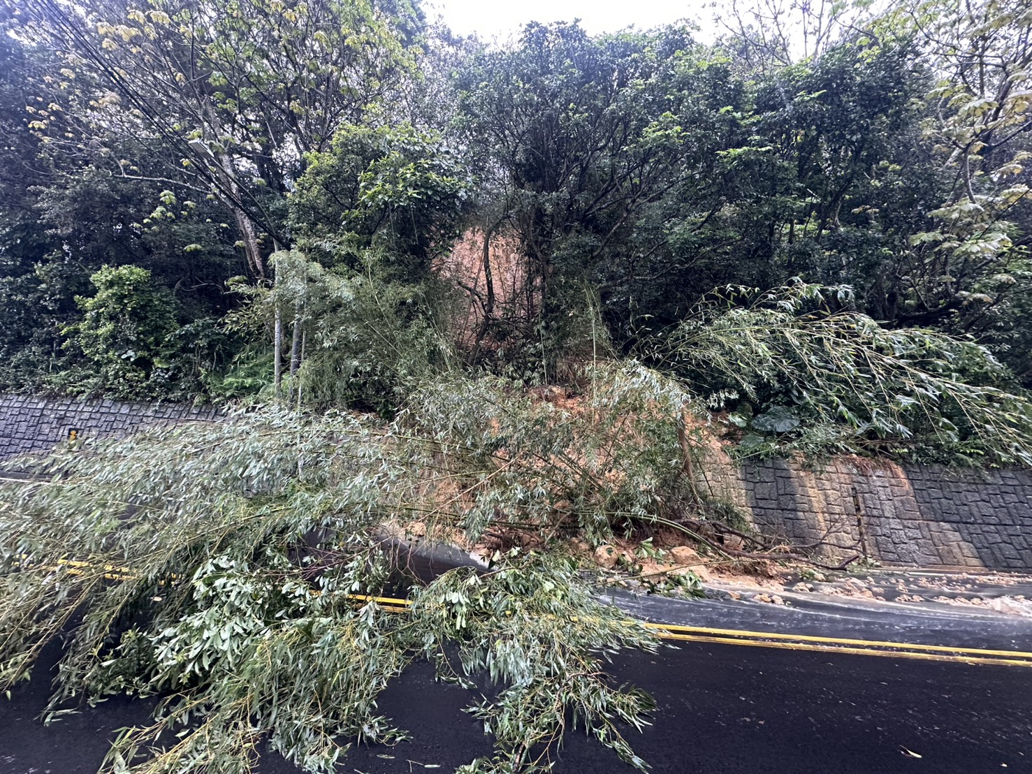 用路人注意！龜山大坑路土石滑落影響通行 警方管制中
