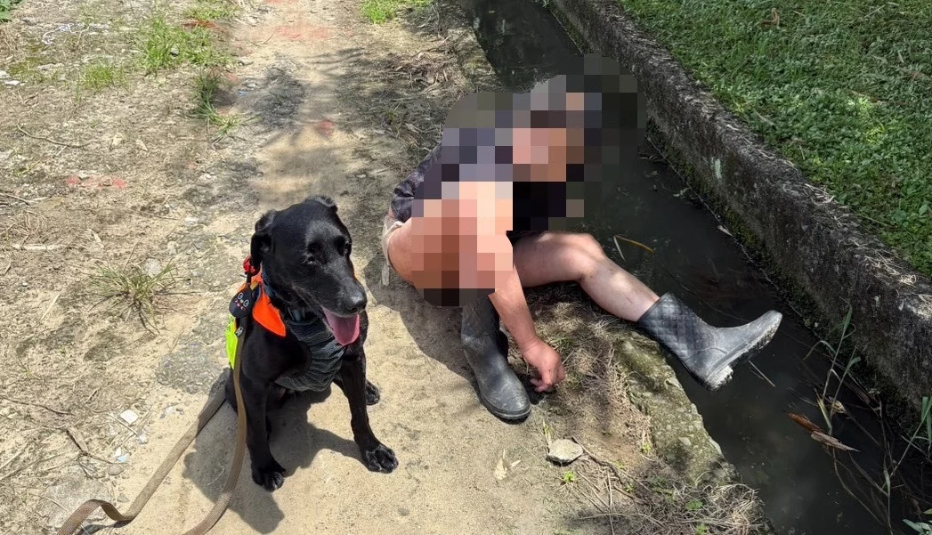 桃園消防搜救犬EMMA立大功 平鎮婦倒菜園被尋獲