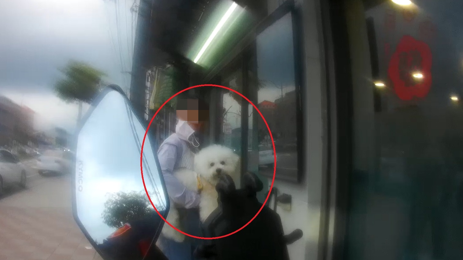 接寵物驚魂！比熊犬衝出美容店馬路亂竄 警半小時尋獲