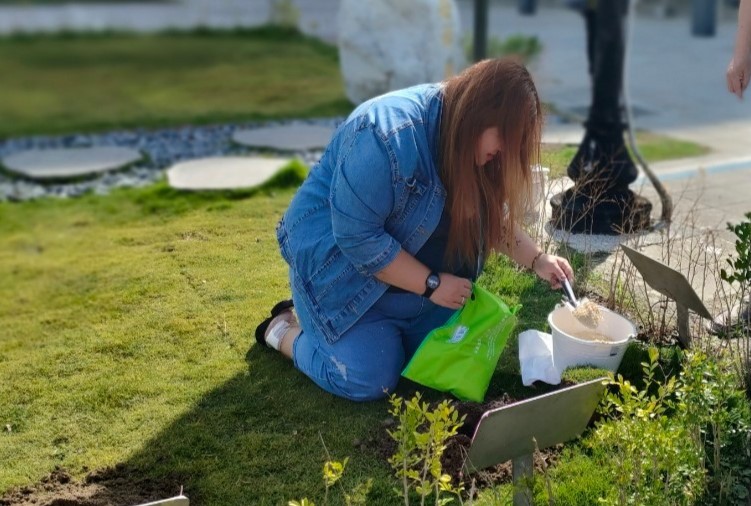 桃園納骨塔遷出改環保葬最高領2萬 樹葬區不論戶籍地一律免費